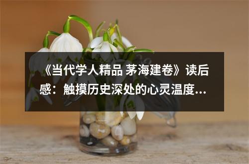 《當代學人精品 茅海建卷》讀后感：觸摸歷史深處的心靈溫度 (850字)