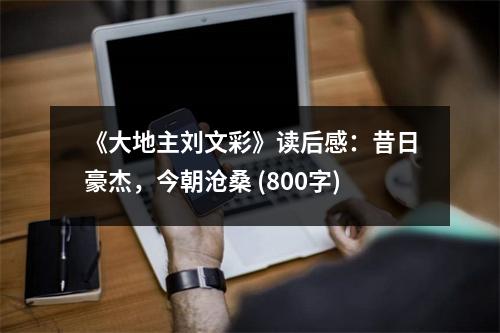 《大地主劉文彩》讀后感：昔日豪杰，今朝滄桑 (800字)