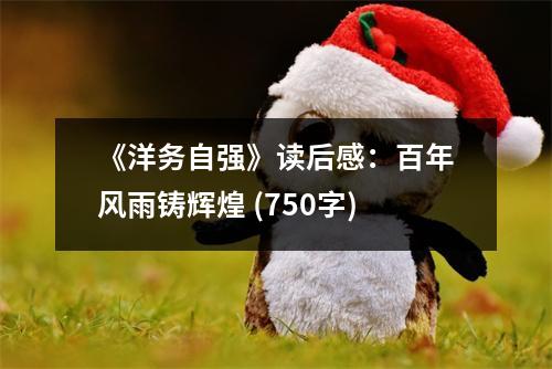 《洋務(wù)自強》讀后感：百年風(fēng)雨鑄輝煌 (750字)