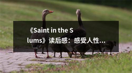 《Saint in the Slums》讀后感：感受人性的光輝與溫暖 (700字)