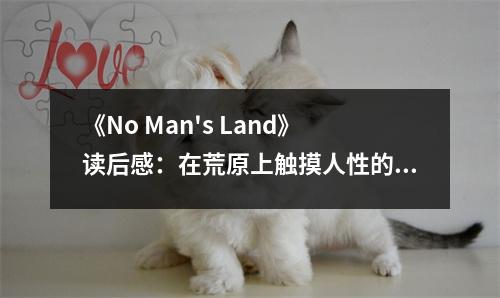 《No Man's Land》讀后感：在荒原上觸摸人性的深淵 (1000字)