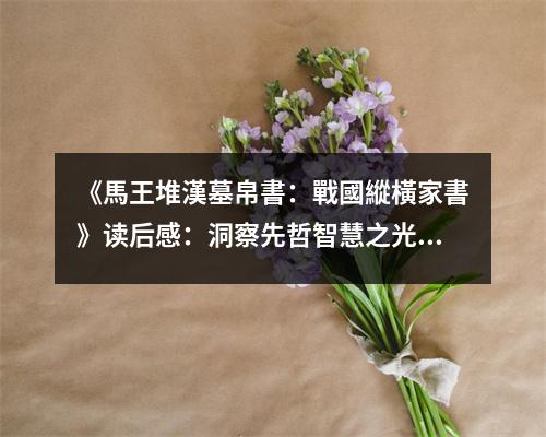 《馬王堆漢墓帛書：戰(zhàn)國(guó)縱橫家書》讀后感：洞察先哲智慧之光 (800字)