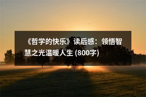 《哲學(xué)的快樂》讀后感：領(lǐng)悟智慧之光溫暖人生 (800字)