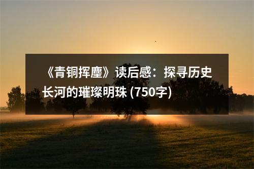《青銅揮麈》讀后感：探尋歷史長河的璀璨明珠 (750字)