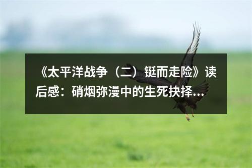 《太平洋戰(zhàn)爭（二）鋌而走險》讀后感：硝煙彌漫中的生死抉擇 (900字)