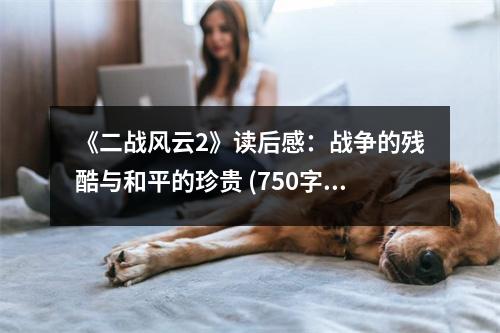 《二戰(zhàn)風云2》讀后感：戰(zhàn)爭的殘酷與和平的珍貴 (750字)