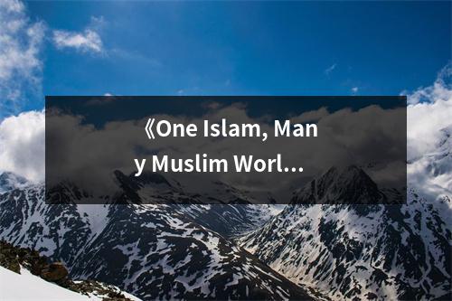 《One Islam, Many Muslim Worlds》讀后感：探索多元信仰之美 (1100字)