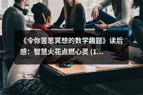 《令你苦思冥想的數(shù)學(xué)趣題》讀后感：智慧火花點(diǎn)燃心靈 (1100字)
