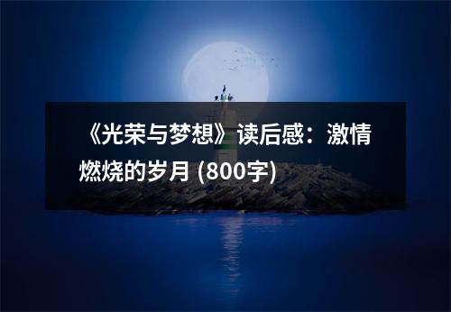 《光榮與夢想》讀后感：激情燃燒的歲月 (800字)