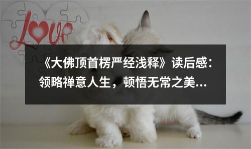 《大佛頂首楞嚴(yán)經(jīng)淺釋》讀后感：領(lǐng)略禪意人生，頓悟無(wú)常之美 (750字)