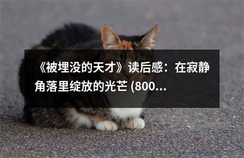《被埋沒的天才》讀后感：在寂靜角落里綻放的光芒 (800字)