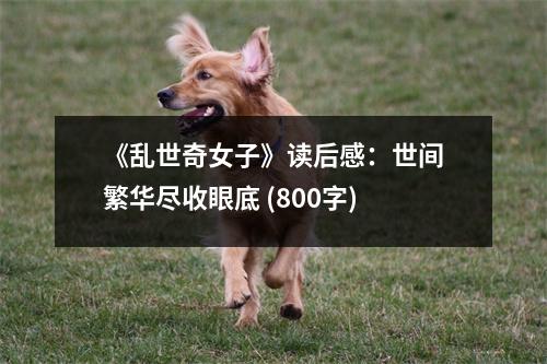 《亂世奇女子》讀后感：世間繁華盡收眼底 (800字)
