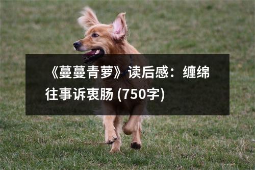 《蔓蔓青蘿》讀后感：纏綿往事訴衷腸 (750字)