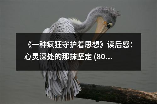 《一種瘋狂守護(hù)著思想》讀后感：心靈深處的那抹堅定 (800字)