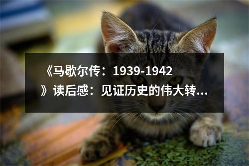 《馬歇爾傳：1939-1942》讀后感：見證歷史的偉大轉(zhuǎn)折 (700字)