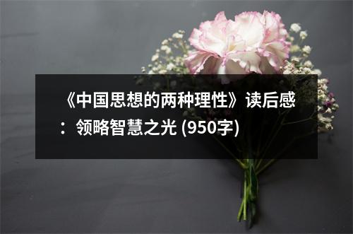 《中國(guó)思想的兩種理性》讀后感：領(lǐng)略智慧之光 (950字)