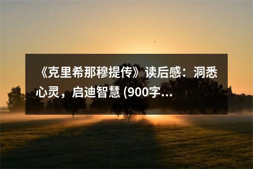《克里希那穆提傳》讀后感：洞悉心靈，啟迪智慧 (900字)