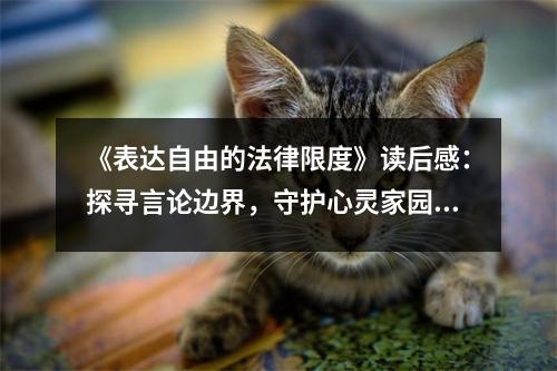 《表達自由的法律限度》讀后感：探尋言論邊界，守護心靈家園 (800字)