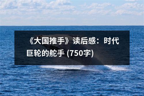 《大國(guó)推手》讀后感：時(shí)代巨輪的舵手 (750字)