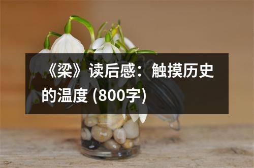 《梁》讀后感：觸摸歷史的溫度 (800字)