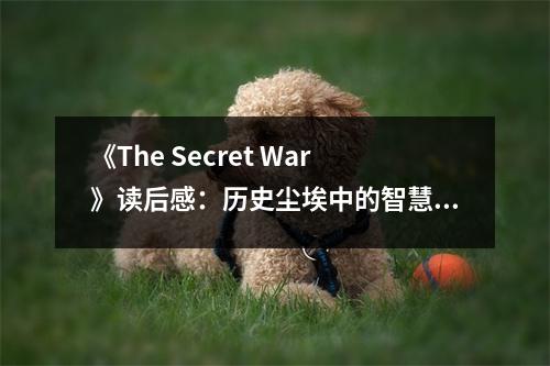 《The Secret War》讀后感：歷史塵埃中的智慧之光 (600字)