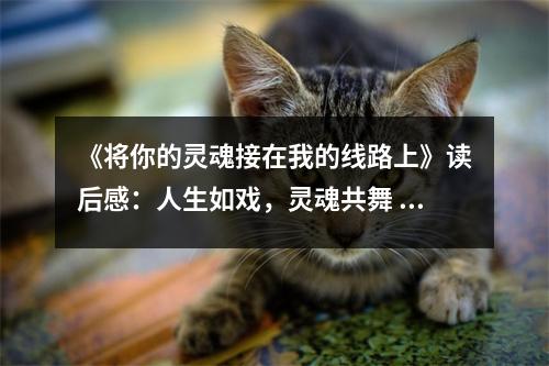 《將你的靈魂接在我的線路上》讀后感：人生如戲，靈魂共舞 (700字)