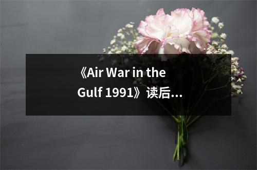 《Air War in the Gulf 1991》讀后感：硝煙背后，英雄淚 (850字)