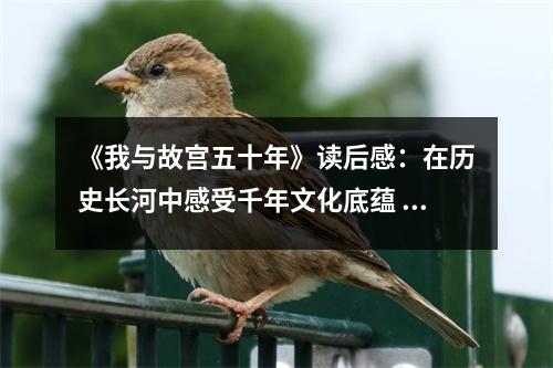 《我與故宮五十年》讀后感：在歷史長河中感受千年文化底蘊 (850字)