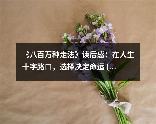 《八百萬種走法》讀后感：在人生十字路口，選擇決定命運(yùn) (800字)