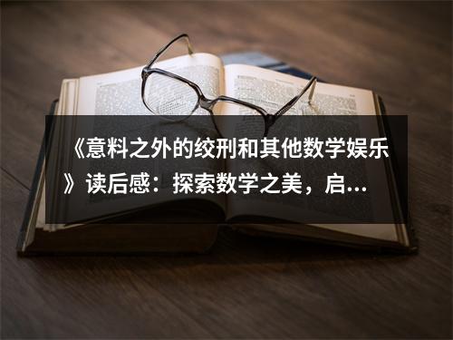《意料之外的絞刑和其他數(shù)學(xué)娛樂(lè)》讀后感：探索數(shù)學(xué)之美，啟迪智慧人生 (900字)