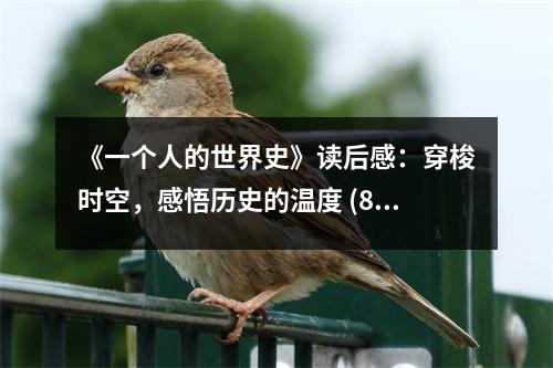 《一個(gè)人的世界史》讀后感：穿梭時(shí)空，感悟歷史的溫度 (850字)