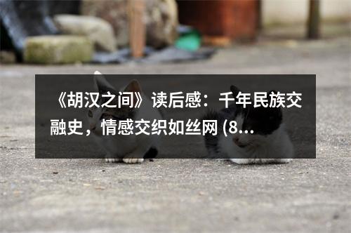 《胡漢之間》讀后感：千年民族交融史，情感交織如絲網(wǎng) (850字)