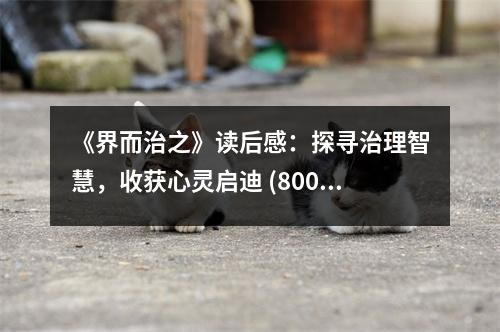 《界而治之》讀后感：探尋治理智慧，收獲心靈啟迪 (800字)