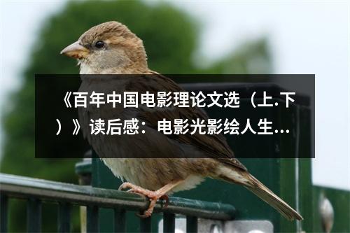 《百年中國電影理論文選（上.下）》讀后感：電影光影繪人生畫卷 (800字)