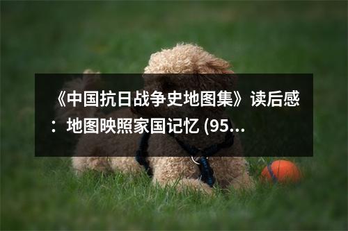 《中國抗日戰(zhàn)爭史地圖集》讀后感：地圖映照家國記憶 (950字)