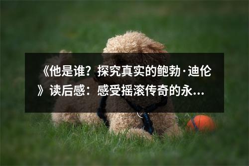 《他是誰？探究真實的鮑勃·迪倫》讀后感：感受搖滾傳奇的永恒魅力 (800字)