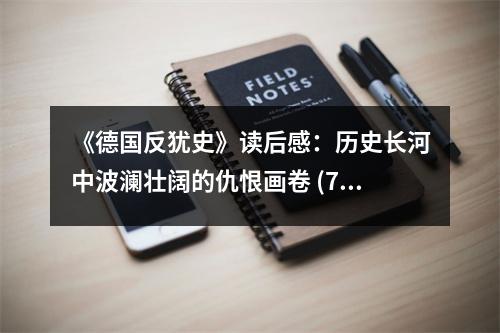 《德國反猶史》讀后感：歷史長河中波瀾壯闊的仇恨畫卷 (750字)