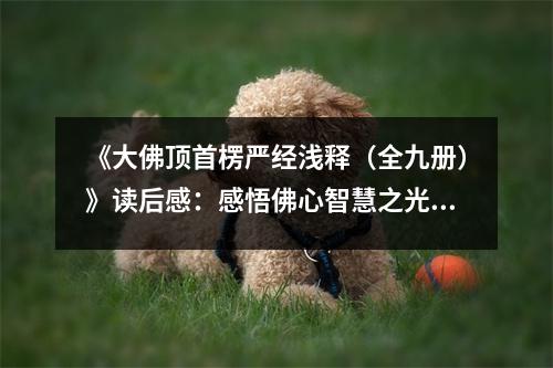《大佛頂首楞嚴經(jīng)淺釋（全九冊）》讀后感：感悟佛心智慧之光 (1050字)