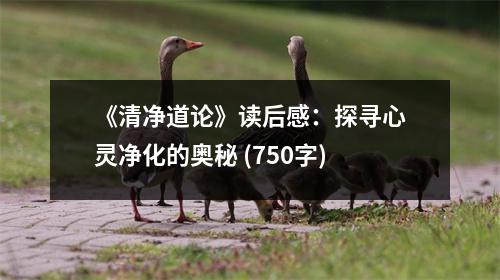 《清凈道論》讀后感：探尋心靈凈化的奧秘 (750字)