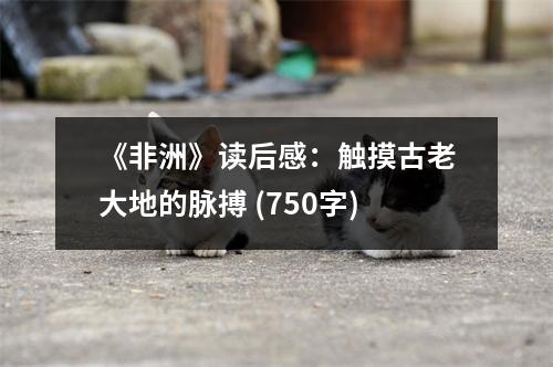 《非洲》讀后感：觸摸古老大地的脈搏 (750字)