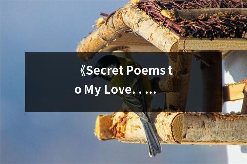 《Secret Poems to My Love. . .》讀后感：字里行間，愛意綿長 (700字)