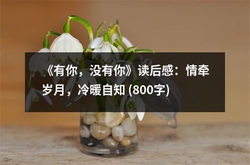 《有你，沒有你》讀后感：情牽歲月，冷暖自知 (800字)