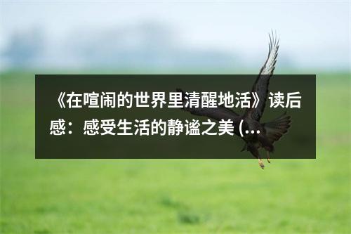 《在喧鬧的世界里清醒地活》讀后感：感受生活的靜謐之美 (650字)