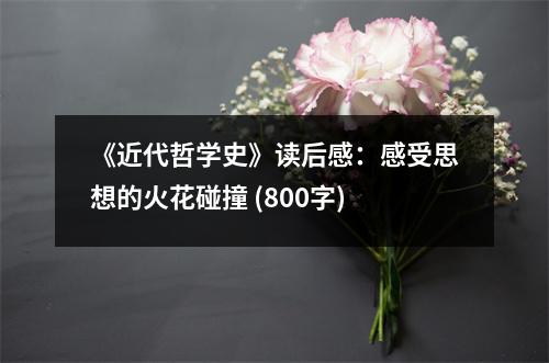 《近代哲學(xué)史》讀后感：感受思想的火花碰撞 (800字)