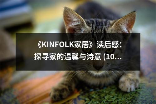 《KINFOLK家居》讀后感：探尋家的溫馨與詩(shī)意 (1000字)