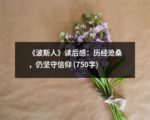 《波斯人》讀后感：歷經(jīng)滄桑，仍堅(jiān)守信仰 (750字)