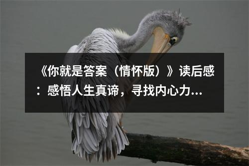 《你就是答案（情懷版）》讀后感：感悟人生真諦，尋找內(nèi)心力量 (900字)