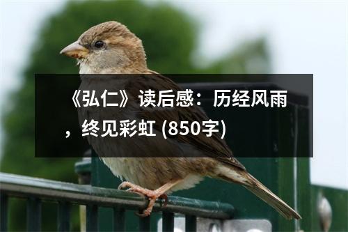 《弘仁》讀后感：歷經(jīng)風(fēng)雨，終見彩虹 (850字)