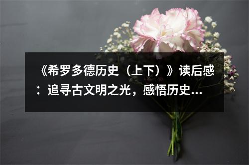 《希羅多德歷史（上下）》讀后感：追尋古文明之光，感悟歷史的厚重 (800字)
