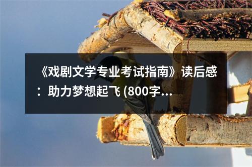《戲劇文學(xué)專(zhuān)業(yè)考試指南》讀后感：助力夢(mèng)想起飛 (800字)